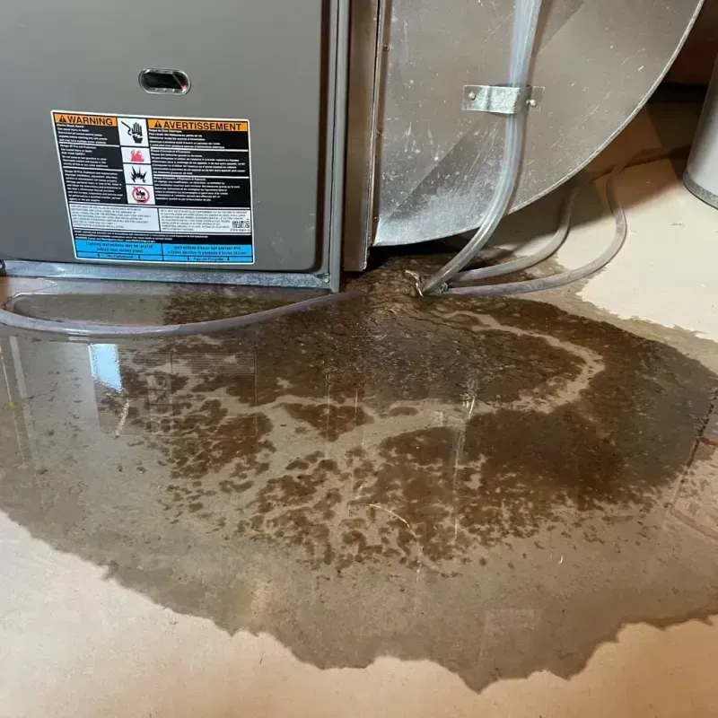 Appliance Leak Cleanup in Huxley, IA